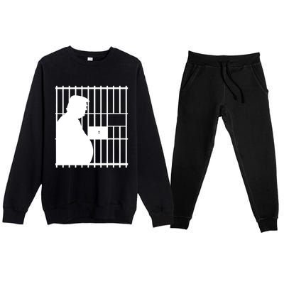 Trump 20,24 Years In Prison, Democrats Liberals Premium Crewneck Sweatsuit Set