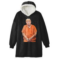 Trump 2024 Years In Prison Funny Antitrump Hooded Wearable Blanket