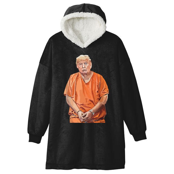 Trump 2024 Years In Prison Funny Antitrump Hooded Wearable Blanket