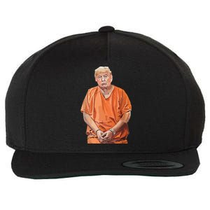 Trump 2024 Years In Prison Funny Antitrump Wool Snapback Cap