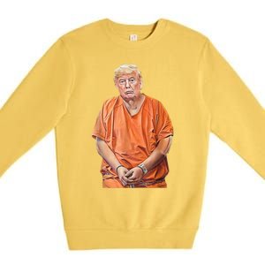 Trump 2024 Years In Prison Funny AntiTrump Premium Crewneck Sweatshirt