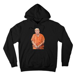 Trump 2024 Years In Prison Funny AntiTrump Hoodie