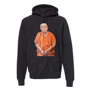 Trump 2024 Years In Prison Funny AntiTrump Premium Hoodie