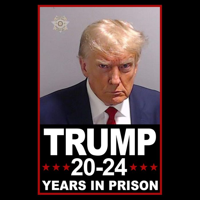 Trump 2024 Years In Prison Mugshot Election City Backpack