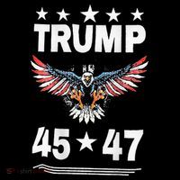 Trump 45 47 Kids T-Shirt
