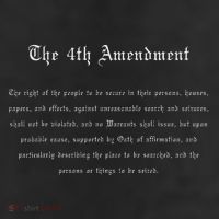 The 4th Amendment, Freedom U.s. Constitution 7 Panel Mesh Trucker Snapback Hat