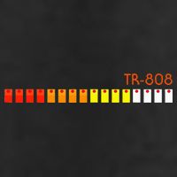 Tr 808 Rolands 7 Panel Mesh Trucker Snapback Hat