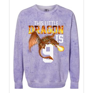 Turning 9 Year Old Birthday Gift Dragon 9th Bday Premium Colorblast Crewneck Sweatshirt