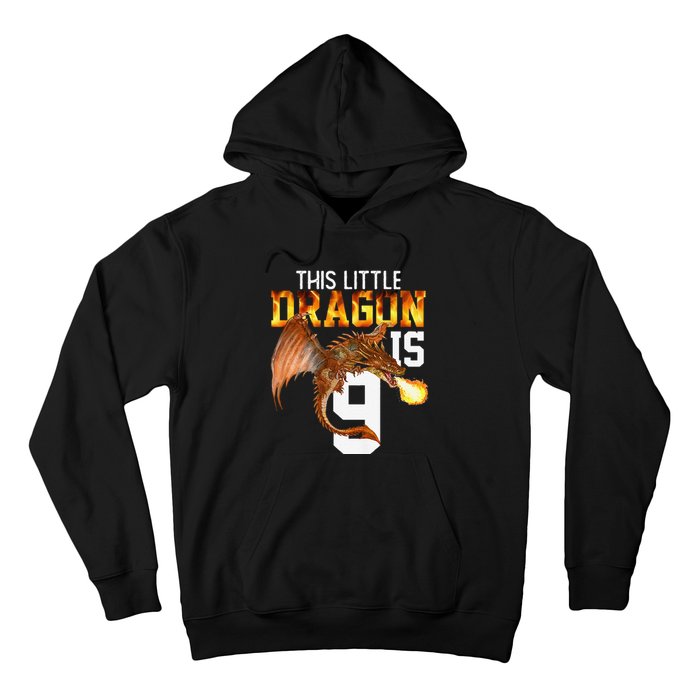 Turning 9 Year Old Birthday Gift Dragon 9th Bday Premium Hoodie