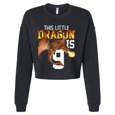Turning 9 Year Old Birthday Gift Dragon 9th Bday Premium Cropped Pullover Crew