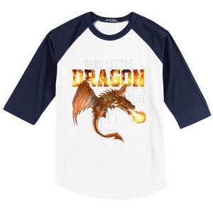 Turning 9 Year Old Birthday Gift Dragon 9th Bday Premium Baseball Sleeve Shirt