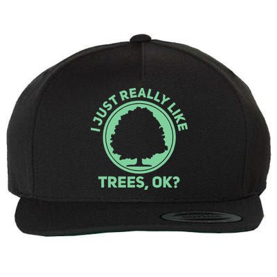 Tree Arborist Arboristic Forest Earth Day Wool Snapback Cap