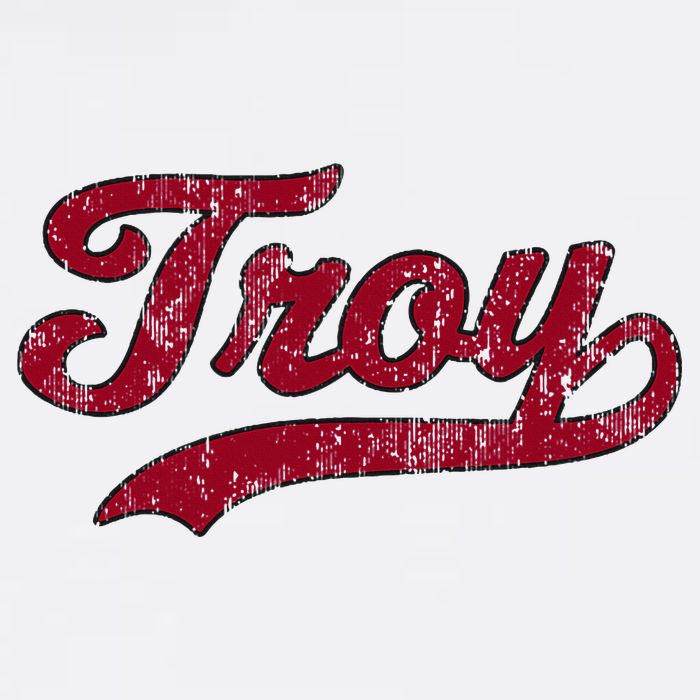Troy Alabama Al Vintage Athletic Kids Hoodie