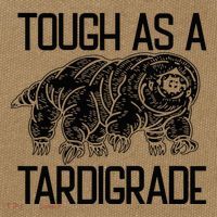Tough As A Tardigrade Water Bear Tough As A Tardigrade Cotton Canvas Backpack