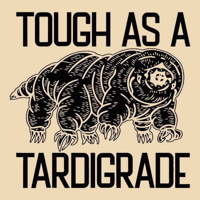 Tough As A Tardigrade Water Bear Tough As A Tardigrade Drawstring Bag
