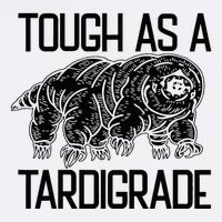Tough As A Tardigrade Water Bear Tough As A Tardigrade Sustainable Bucket Hat