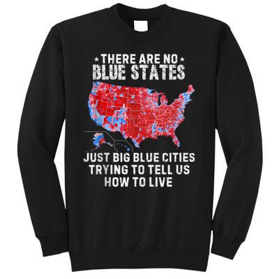 There Are Blue States Just Big Blue Cities Trying To Tell Us Sweatshirt