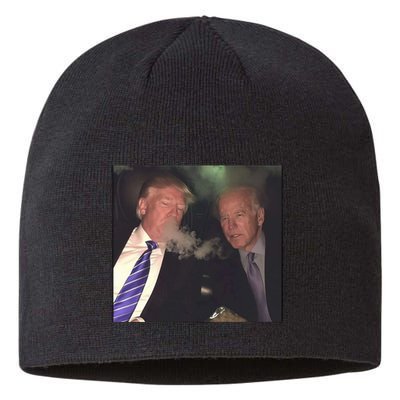 Trump And Biden Smoking Weed Sustainable Beanie