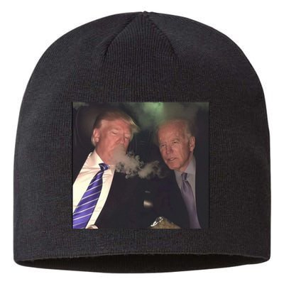 Trump And Biden Smoking Weed Sustainable Beanie