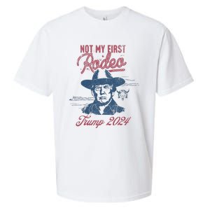 Take America Back Trump Cowboy Rodeo Election 2024 Sueded Cloud Jersey T-Shirt