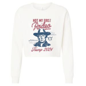 Take America Back Trump Cowboy Rodeo Election 2024 Cropped Pullover Crew