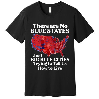 There Are Blue States Just Big Blue Cities Trying To Tell Us Premium T-Shirt