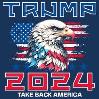 Take America Back Trump 2024 T-Shirt