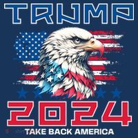 Take America Back Trump 2024 Kids T-Shirt