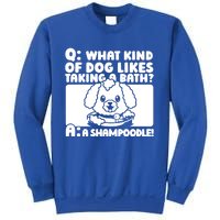 Training Animal Behaviorist Gift Dog Trainer Gift Sweatshirt