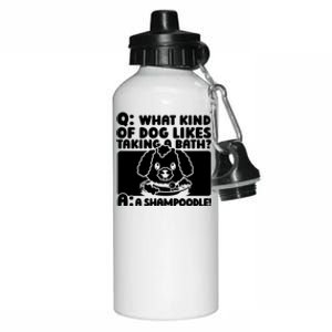 Training Animal Behaviorist Gift Dog Trainer Gift Aluminum Water Bottle