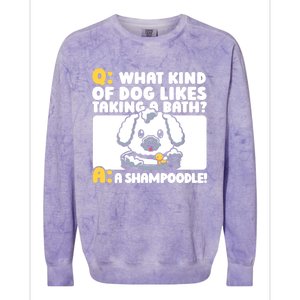 Training Animal Behaviorist Great Gift Dog Trainer Gift Colorblast Crewneck Sweatshirt