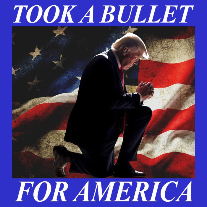 Took A Bullet For America Donald Trump Usa Zip Tote Bag