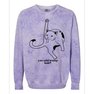 Trump And Cats So You Said Trump Cat Licking Colorblast Crewneck Sweatshirt