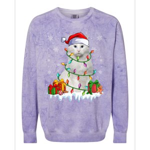 Turkish Angora Cat Xmas Light Christmas Kitten Lover Cool Gift Colorblast Crewneck Sweatshirt