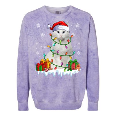 Turkish Angora Cat Xmas Light Christmas Kitten Lover Cool Gift Colorblast Crewneck Sweatshirt