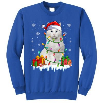 Turkish Angora Cat Xmas Light Christmas Kitten Lover Cool Gift Tall Sweatshirt