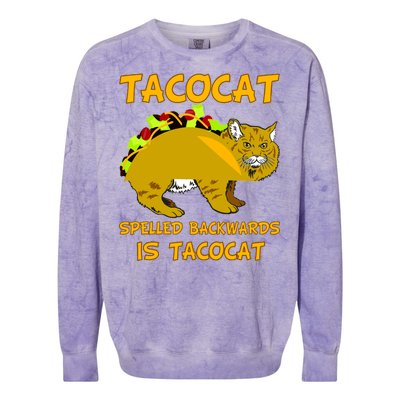 Tacocat Spelled Backwards Funny Cat Colorblast Crewneck Sweatshirt