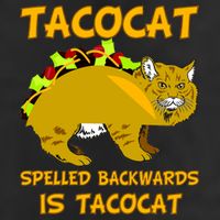 Tacocat Spelled Backwards Funny Cat 15oz Campfire Ceramic Mug