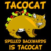 Tacocat Spelled Backwards Funny Cat Women's V-Neck T-Shirt