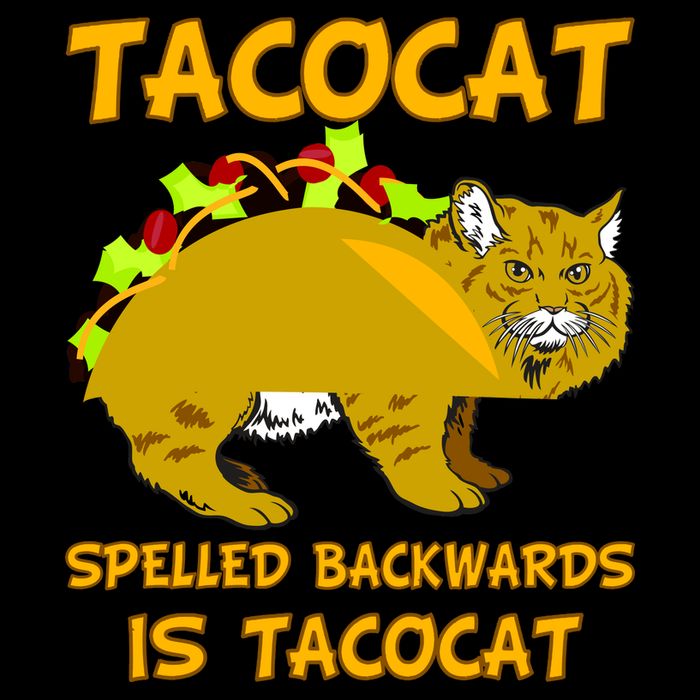 Tacocat Spelled Backwards Funny Cat Women's V-Neck T-Shirt