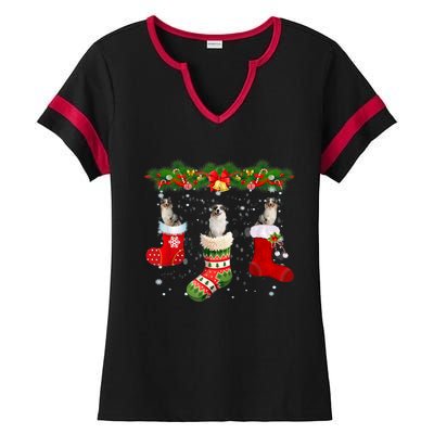 Three Aussie Dog In Sock Christmas Santa Hat Xmas Ladies Halftime Notch Neck Tee