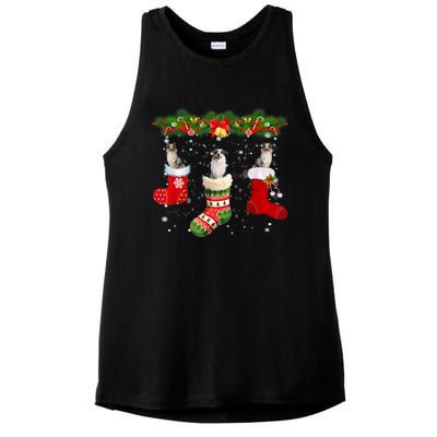 Three Aussie Dog In Sock Christmas Santa Hat Xmas Ladies PosiCharge Tri-Blend Wicking Tank