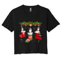 Three Aussie Dog In Sock Christmas Santa Hat Xmas Women's Crop Top Tee