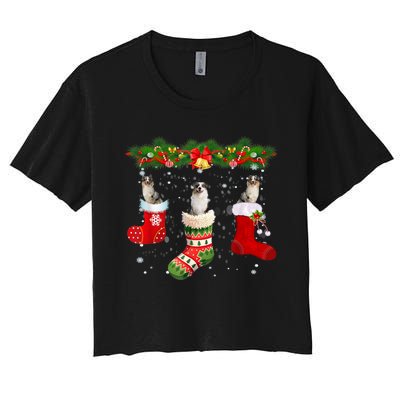 Three Aussie Dog In Sock Christmas Santa Hat Xmas Women's Crop Top Tee