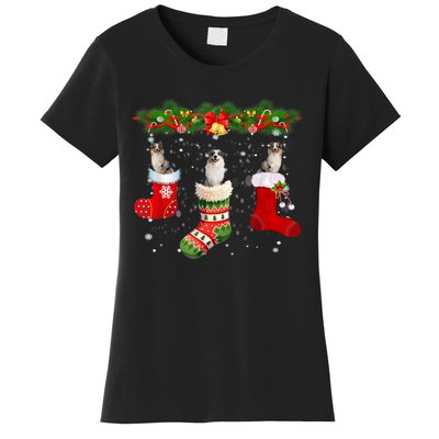 Three Aussie Dog In Sock Christmas Santa Hat Xmas Women's T-Shirt