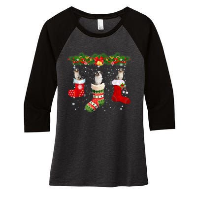 Three Aussie Dog In Sock Christmas Santa Hat Xmas Women's Tri-Blend 3/4-Sleeve Raglan Shirt