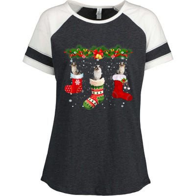 Three Aussie Dog In Sock Christmas Santa Hat Xmas Enza Ladies Jersey Colorblock Tee