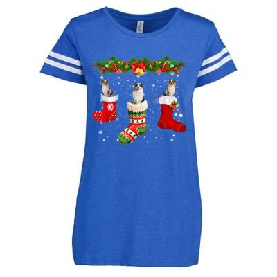 Three Aussie Dog In Sock Christmas Santa Hat Xmas Enza Ladies Jersey Football T-Shirt