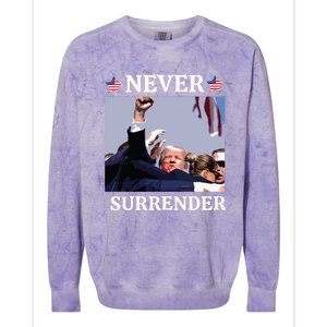 Trump Assassination Donald Trump Assassination Fight Colorblast Crewneck Sweatshirt