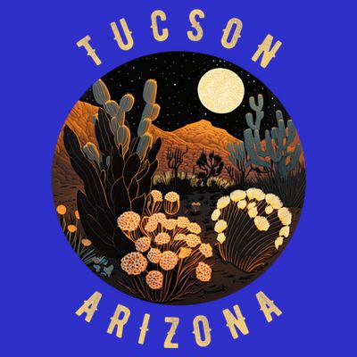 Tucson Arizona Desert At Night Painting Gift T-Shirt